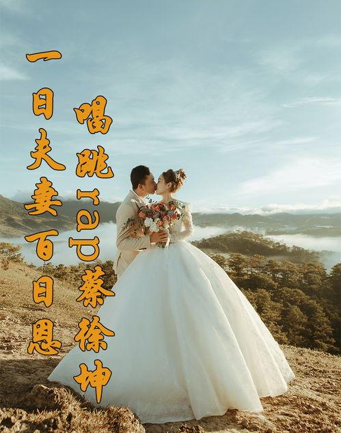 今日头条押韵诗句,诗意盎然话人生