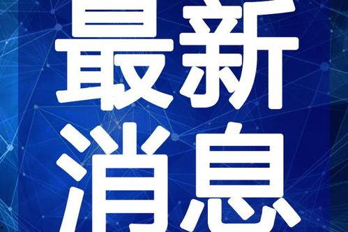 江苏爆料相亲视频最新,揭秘现代都市单身男女的婚恋困境