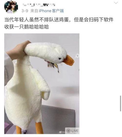 网红鞠躬鹅,网络红人现象背后的文化解读