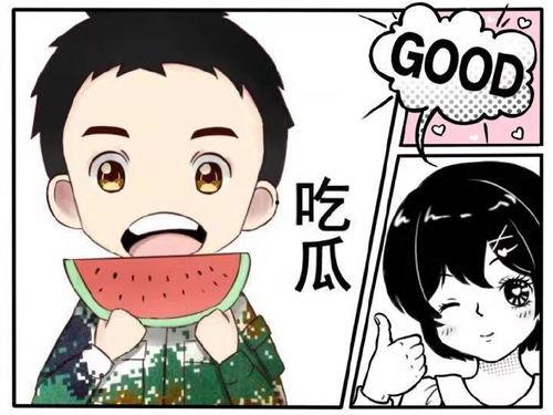 无脑吃瓜的人