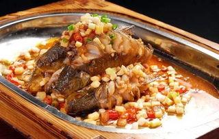 今日头条细鳞鱼,探寻我国淡水名优鱼的生态魅力