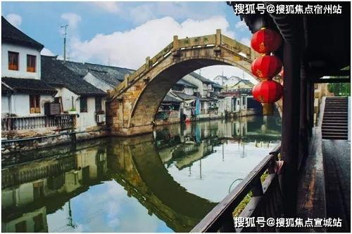 上海枫泾头条号,聚焦发展成果，共绘美好未来