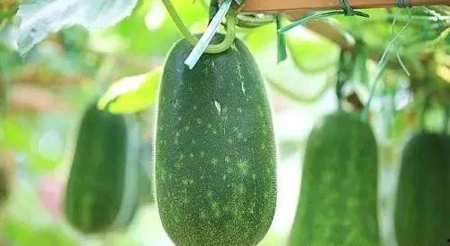 净吃瓜了,揭秘娱乐圈幕后真相