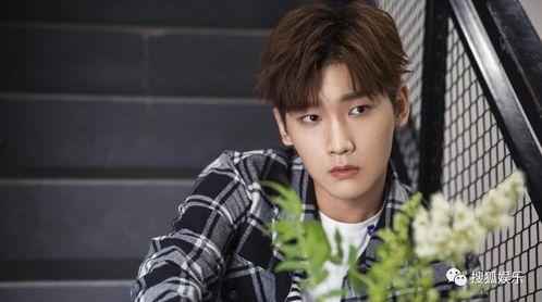 娱乐大爆料李沁文淇,娱乐大爆料幕后故事揭秘