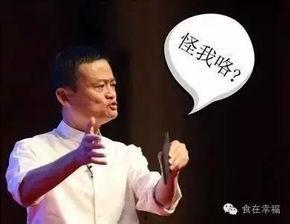 马云在头条面试什么,揭秘电商巨头背后的智慧与挑战