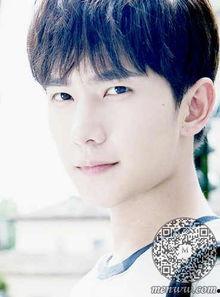 杨洋明星小说,星光璀璨的明星之路