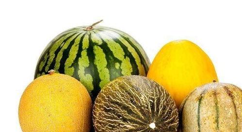 单身吃瓜有什么好处,解锁生活新乐趣的独身利器