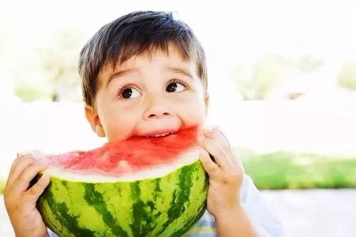 孩子吃茄瓜视频,趣味视频见证成长瞬间