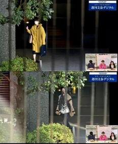 文春爆料菜园视频大全,菜园视频大全大起底