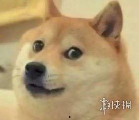 吃瓜偷听狗头小表情,狗头表情下的趣味日常